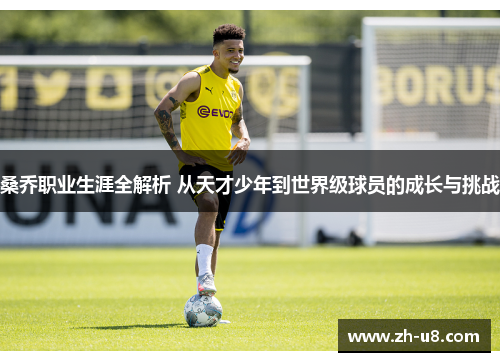 桑乔职业生涯全解析 从天才少年到世界级球员的成长与挑战