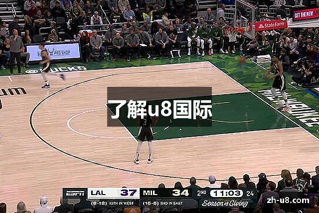 了解u8国际